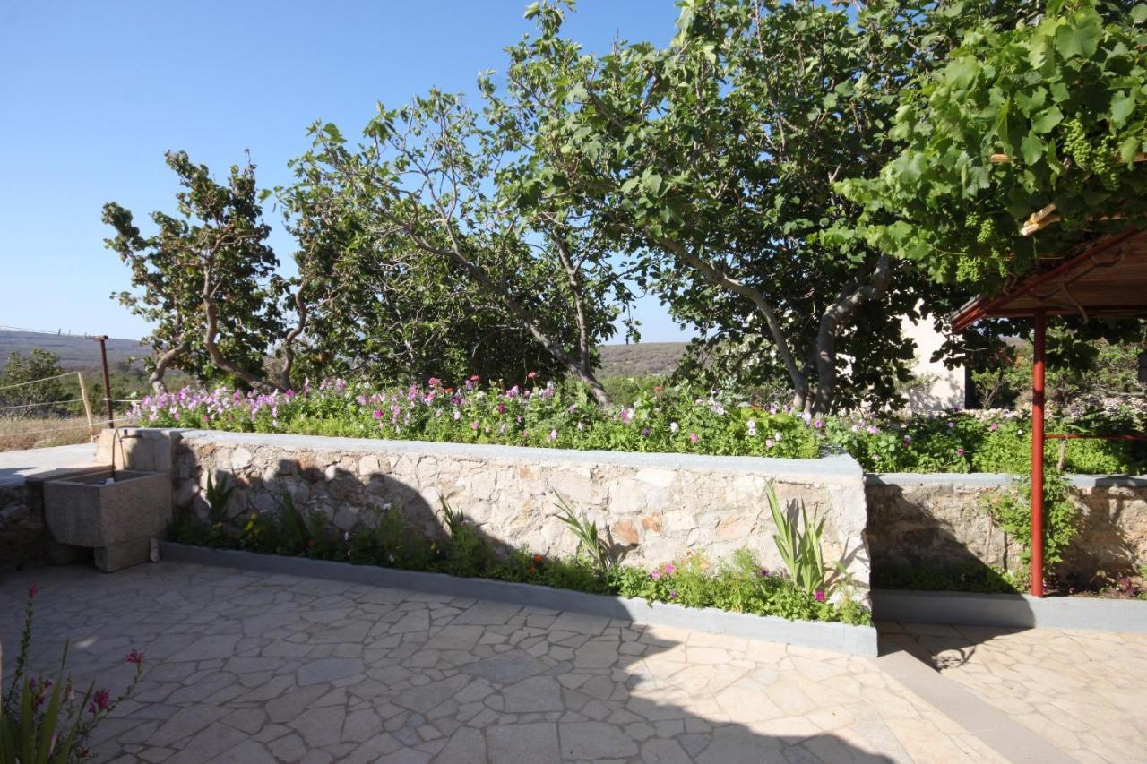 Apartments With Wifi Stivan, Cres - 382 Εξωτερικό φωτογραφία